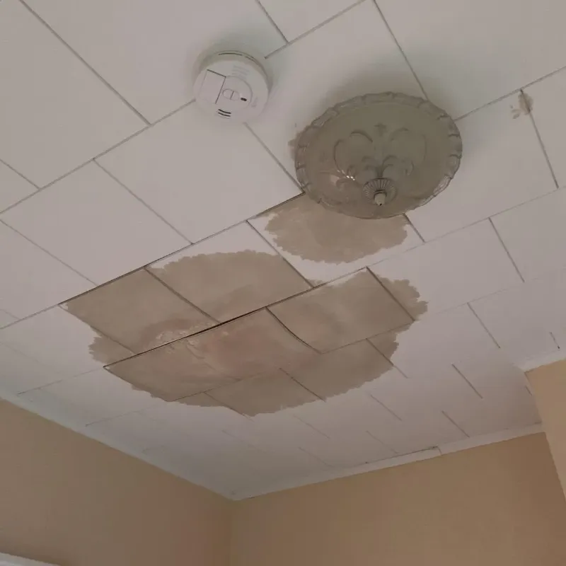 Ceiling Water Damage Repair in Burlington, NJ
