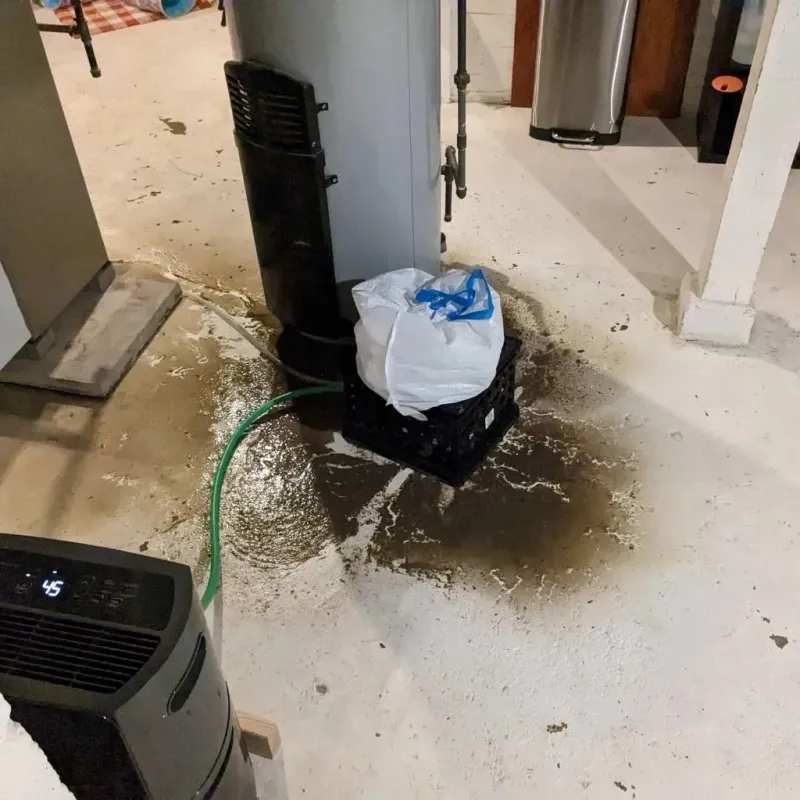 Sewage Backup Cleanup Service in Burlington, NJ